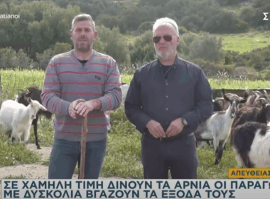 κτηνοτρόφοι ΕΑΣ