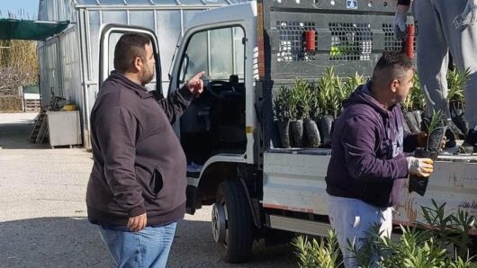 Περιφερειακό Φυτώριο Νοτίου Αιγαίου: Αποστολή φυτών σε Νάξο και Άνδρο