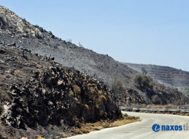 φωτιά ορεινή Νάξος