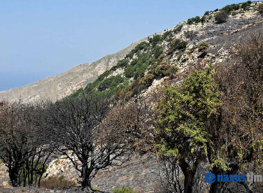 φωτιά ορεινή Νάξος