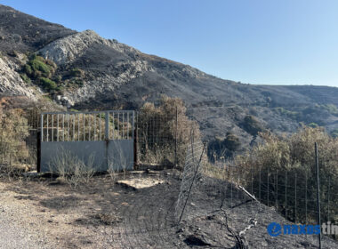 φωτιά ορεινή Νάξος