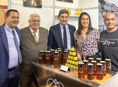 Φεστιβάλ μελιού