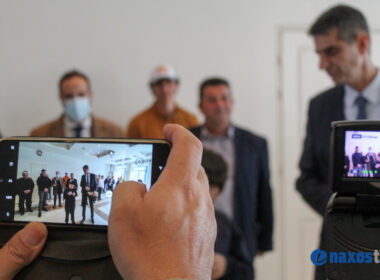 πίτα εργαζομένων