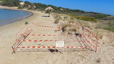 «Γεννητούρια» στην Πάρο - Γιατί δεν πρέπει να καθαρίζουν τις παραλίες βαρέα οχήματα (video)