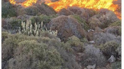 Επίσημη ενημέρωση από τον Δήμο Αμοργού για την πυρκαγιά στη Χώρα