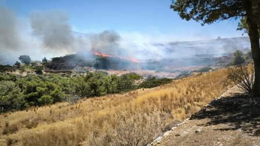 Δήμος Σύρου-Ερμούπολης: Ποιους ευχαρίστησε για την άμεση κατάσβεση της πυρκαγιάς στα Χρούσσα