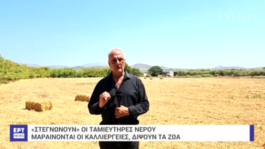 Δ. Καπούνης στο ERT News: «Στη Νάξο δεν υπάρχει νερό, η παραγωγή πατάτας μειώθηκε κατά πολύ»