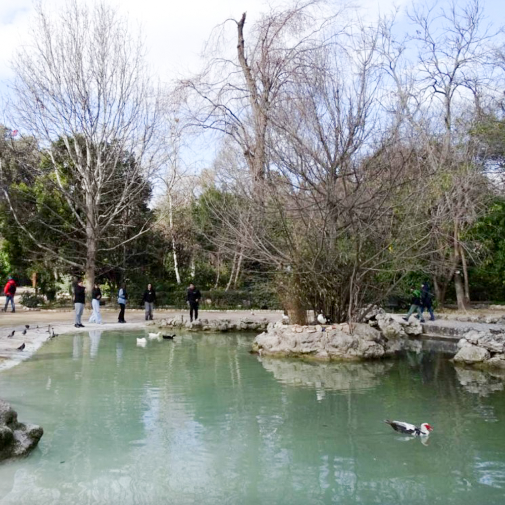 Εκδρομή στην Αθήνα 2ο Γυμνάσιο Νάξου
