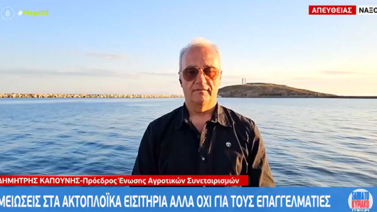 Δ. Καπούνης στο Mega: «Έγιναν μειώσεις στα ακτοπλοϊκά, όχι όμως για τους επαγγελματίες!»