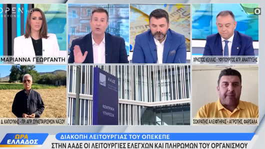 Δ. Καπούνης προς Χ. Κέλλα στο Open: «Κλείνετε τον ΟΠΕΚΕΠΕ για να κουκουλώσετε το σκάνδαλο!»