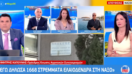 Δημήτρης Καπούνης στο Mega: «Από το 2023 είχε ενημερωθεί ο Πρωθυπουργός για τον ΟΠΕΚΕΠΕ!»