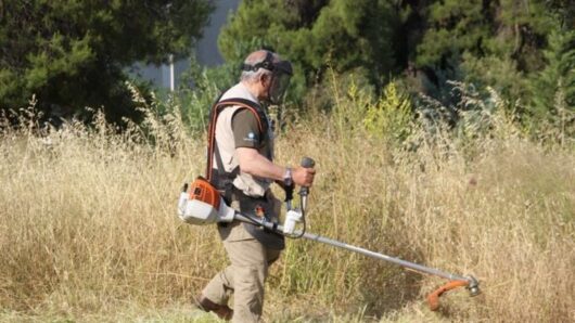 Νάξος: Δηλώσεις καθαρισμού οικοπέδων έως 15 Ιουνίου – Τι πρέπει να γνωρίζουν οι πολίτες