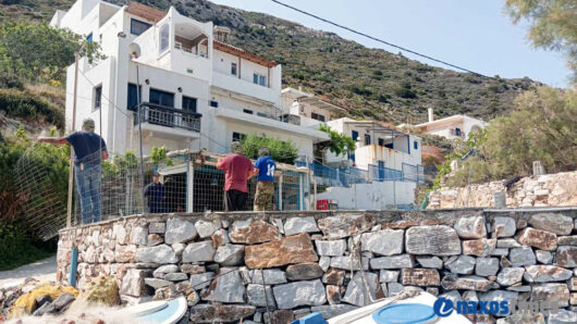 Λυώνας συρματόπλεγμα