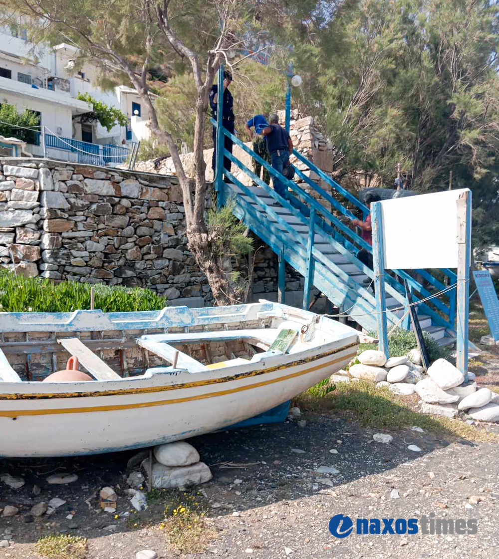 Λυώνας συρματόπλεγμα