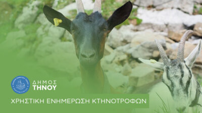 Δήμος Τήνου: Ενημέρωση για Κτηνοτρόφους – Έλεγχος και Σήμανση Ζώων