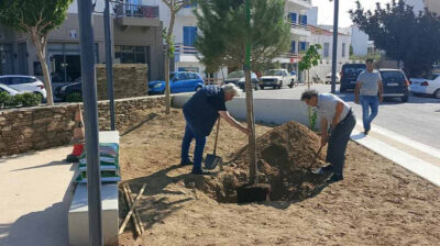 Δήμος Τήνου: Εορτασμός 50 χρόνων από την ίδρυση του Συλλόγου «Οι Φίλοι του Πράσινου»