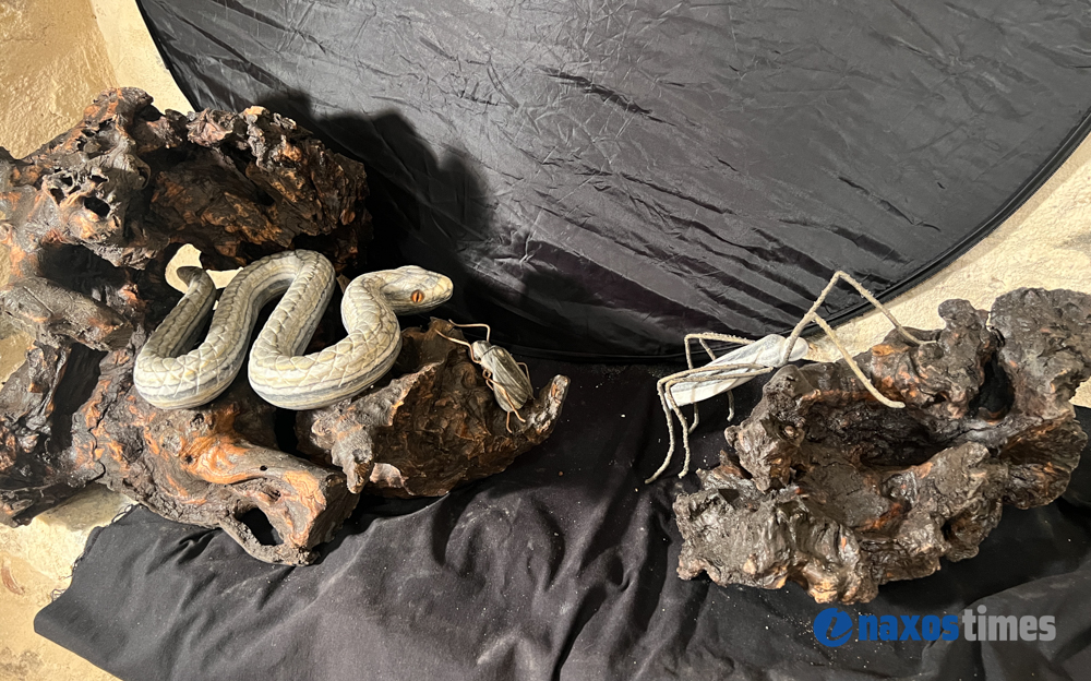 γλυπτά Φραντζέσκος