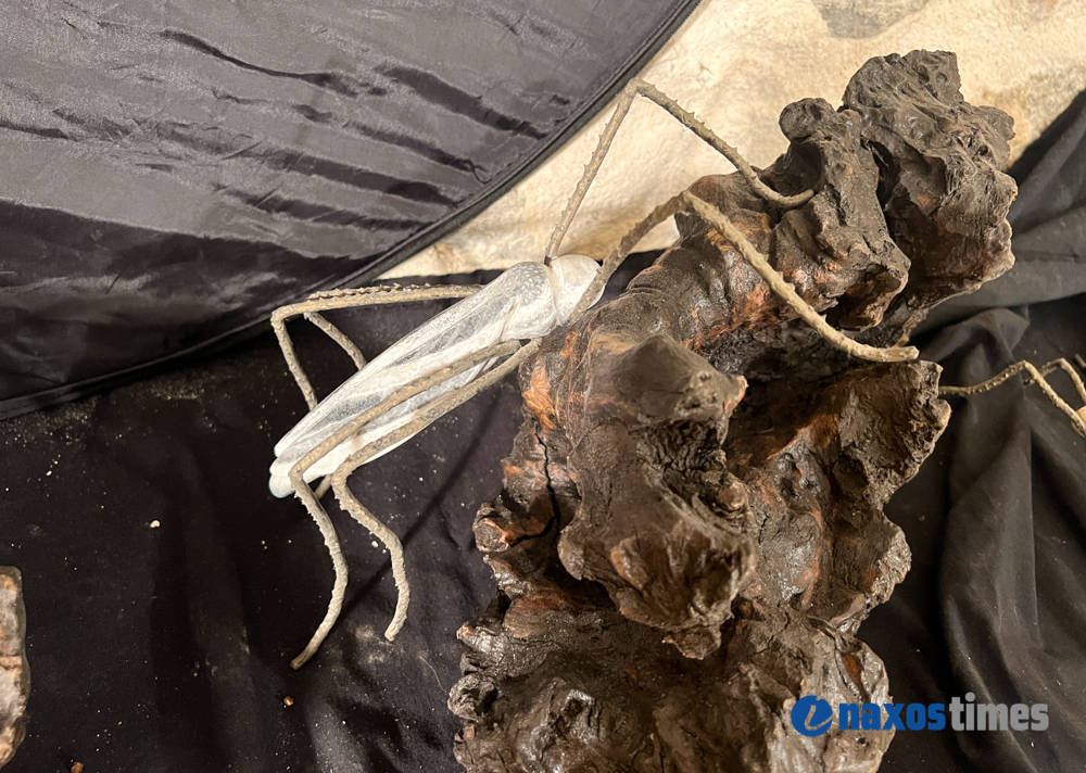 γλυπτά Φραντζέσκος