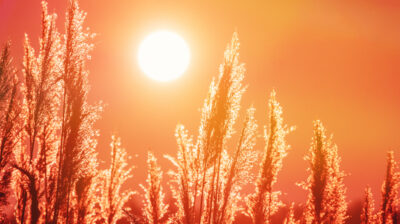 Ο Ιανουάριος του 2026, ο 5ος θερμότερος που καταγράφτηκε ποτέ