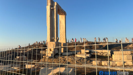 Πορτάρα συρματόπλεγμα