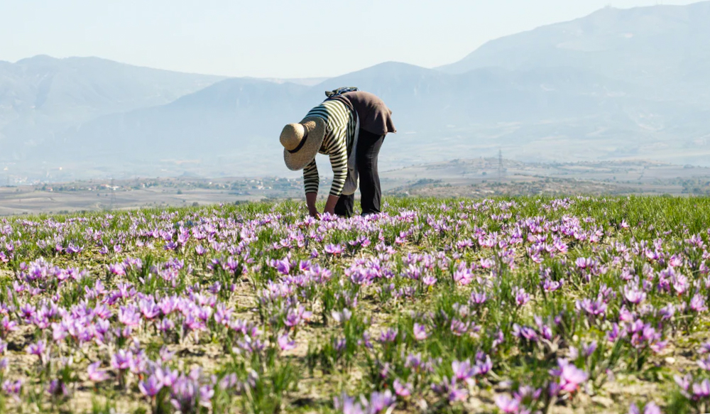 Εκδρομή naxos island tours
