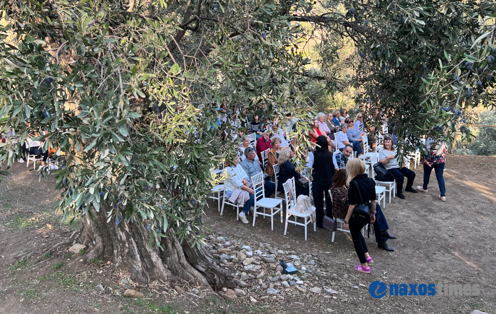 Μανώλης Μητσιάς