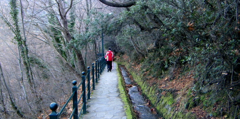 Εκδρομή naxos island tours