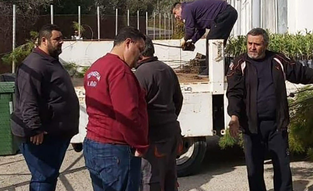 περιφερειακό φυτώριο