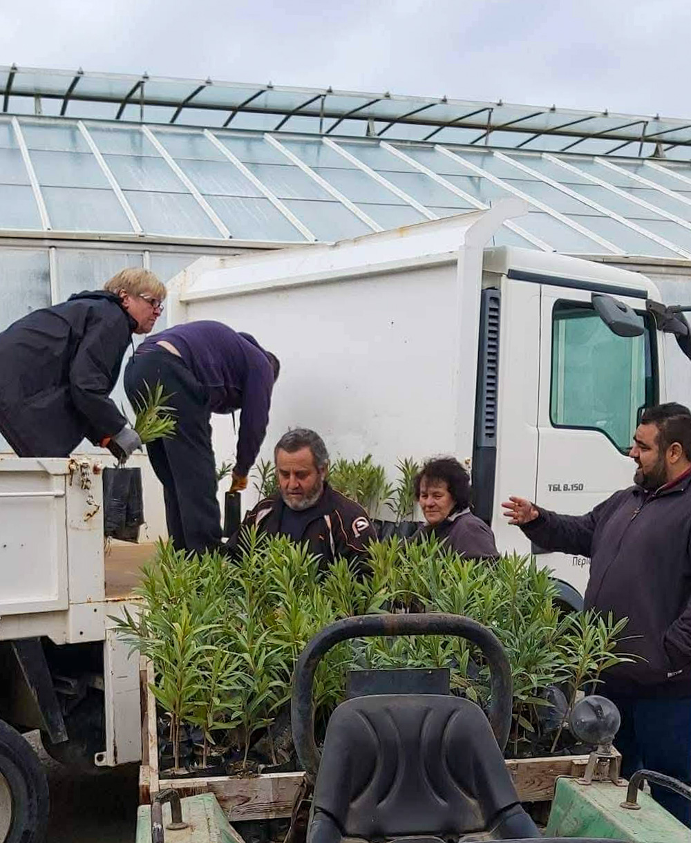 περιφερειακό φυτώριο