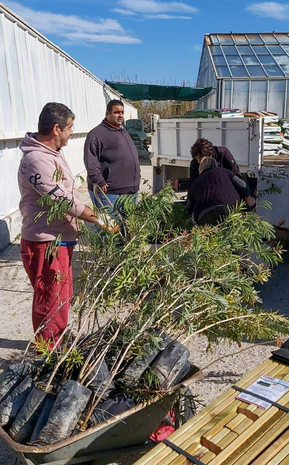 περιφερειακό φυτώριο