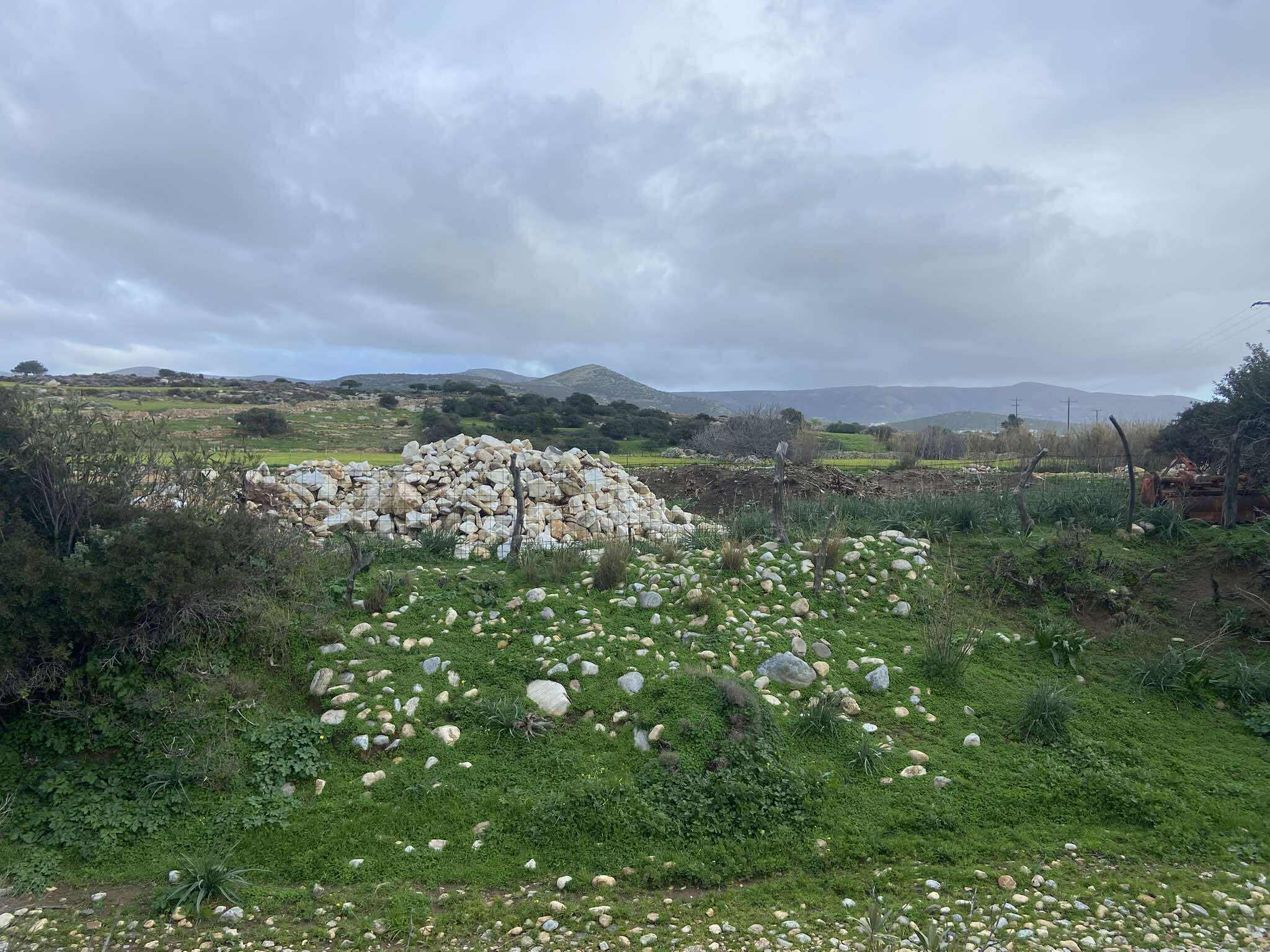 αυτοψία Πυργάκι