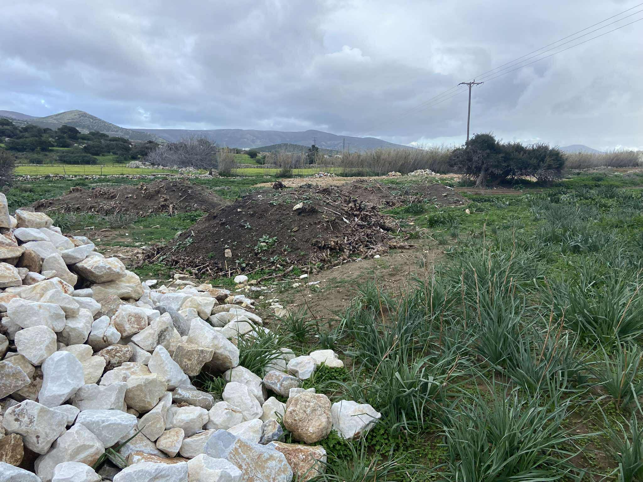 αυτοψία Πυργάκι