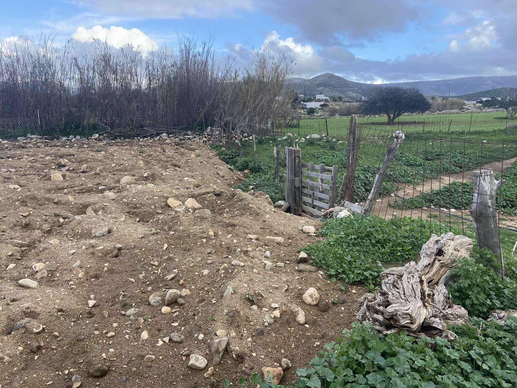 αυτοψία Πυργάκι