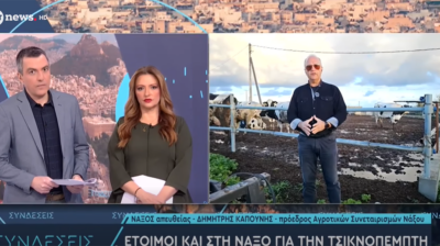 Τσικνοπέμπτη: Σταθερές τιμές στη Βαρβάκειο – Τι λέει ο Δημήτρης Καπούνης για κρέας και πατάτα Νάξου