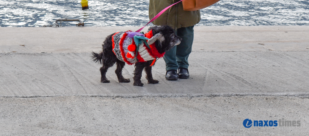Καρναβάλι Νάξος 2026