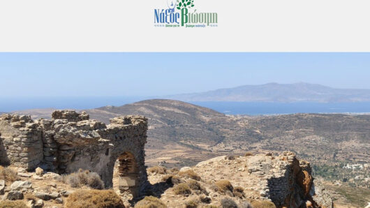 Δίκτυο για τη Βιώσιμη Ανάπτυξη Νάξου: Πεζοπορική διαδρομή προς το Απάνω Κάστρο την Κυριακή 8 Μαρτίου 2026