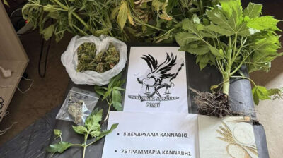 Συνελήφθη ημεδαπός για καλλιέργεια κάνναβης στη Ρόδο