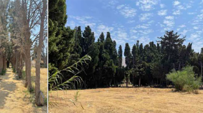 Πάρος: Συγκρότηση Γνωμοδοτικής Επιτροπής για το Αγροκήπιο Παροικίας