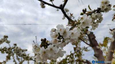Καιρός: Άστατος σχεδόν σε όλη την χώρα, με τοπικές βροχές και χιόνια – Η πρόγνωση για την 25η Μαρτίου