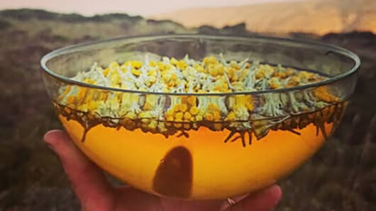 Άνδρος ΚοινΣΕπ: Ανθοϊάματα για νέα ξεκινήματα