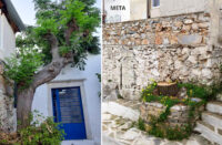 κοπή δέντρου στο Φιλώτι Νάξου πριν και μετά