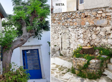 κοπή δέντρου στο Φιλώτι Νάξου πριν και μετά