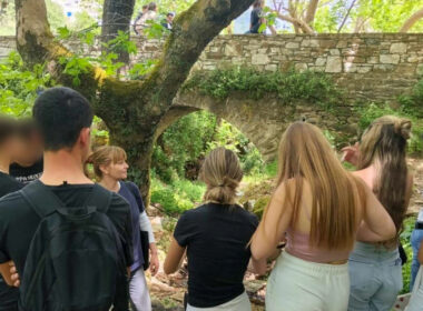 ΕΠΑΛ Νάξου Βρύση Δανακού