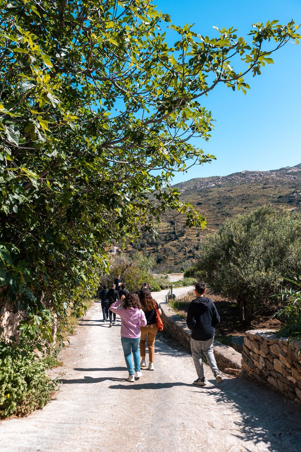 Μαθητές γυμνασίου Τριπόδων - Κάμπονες