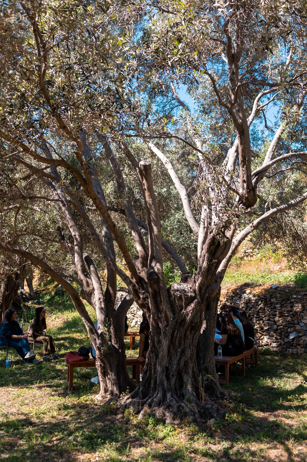 Μαθητές γυμνασίου Τριπόδων - Κάμπονες