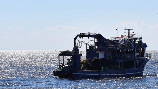 Τουρκικά αλιευτικά στην καρδιά των Κυκλάδων – Τι συμβαίνει ανάμεσα σε Τήνο και Σύρο