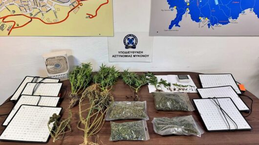 Συνελήφθη ημεδαπός για καλλιέργεια κάνναβης στη Μύκονο