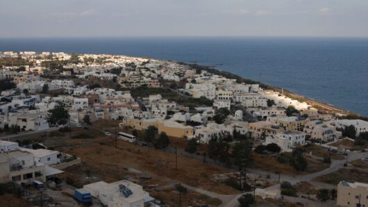 Σύσταση του Συλλόγου Εμπόρων Θήρας για την άγρα πελατών στο Καμάρι