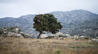 Τήνος: Διεθνής αναγνώριση για την τέχνη της ξερολιθιάς – Εξαιρετική αξιολόγηση για το «Μπατίκι»