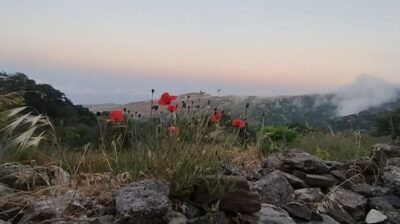 Ξεκίνησαν στην Κόρωνο οι εργασίες της 2ης Συνάντησης του Δικτύου για τη Βιώσιμη Ανάπτυξη της Νάξου